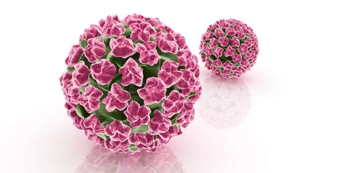 AMPLIQUALITY HPV TYPE EXPRESS Genotipizzazione HPV in campioni orofaringei e campioni di tessuto paraffinati