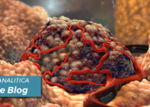 <strong>I Nuovi Orizzonti del Cancro: Oltre i “Tratti Distintivi” verso un’Organizzazione Sistemica</strong><br> | The New Horizons of Cancer: Beyond the “Hallmarks” Toward a Systemic Organization